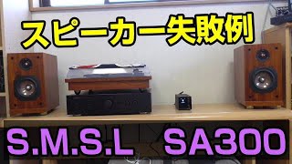 SMSL SA300 スピーカーの組み合わせ失敗例 SoundArtist S5