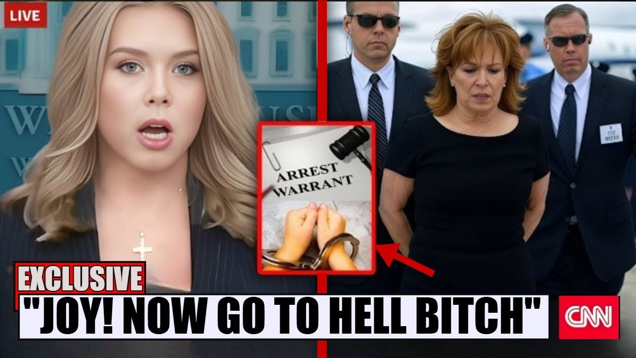 Joy Behar ARRESTED At Airport After 50M Lawsuit SHOCKING Details Joy Behar Arrested At Airport After 50m Lawsuit Shocking Details