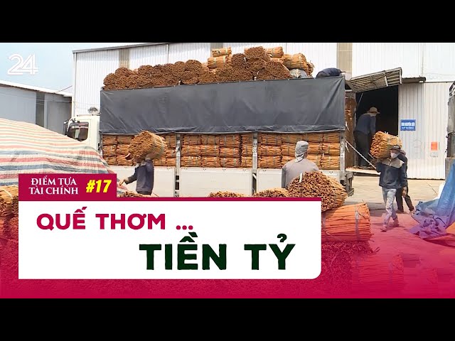 Quế thơm... tiền tỷ | Điểm tựa tài chính | VTV24 class=