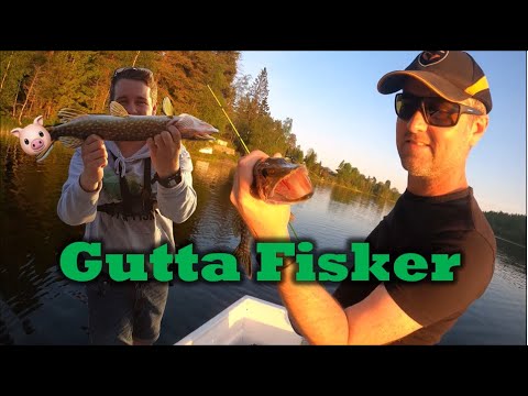 Video: Fiske Etter Gjedde På En Flottør