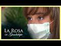La Rosa de Guadalupe: Aimée no festejará sus XV años por la influenza | El día que se acabó el mundo