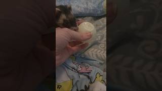 Why They Cant Have These