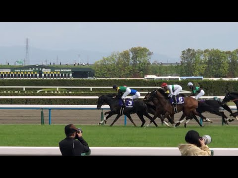 【検証映像】 天皇賞１周目ゴール板付近 タイトルホルダーがアフリカンゴールドを外から交わして先頭に立つシーン 現地映像