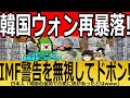 【海外の反応】韓国ウォン再暴落！IMF警告を無視してドボン！【ゆっくり解説】