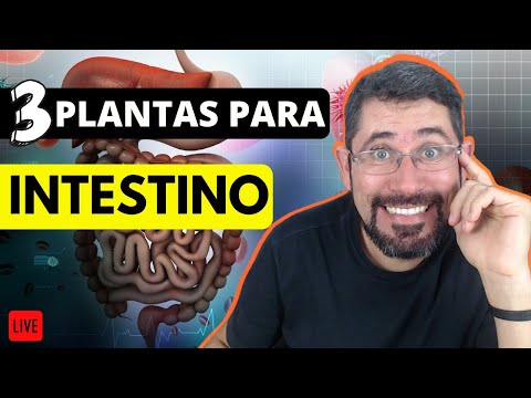 Plantas Incríveis para tratar Inflamações Intestinais!!