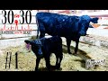 Ranching from the Heart - 30in30 #1 2023