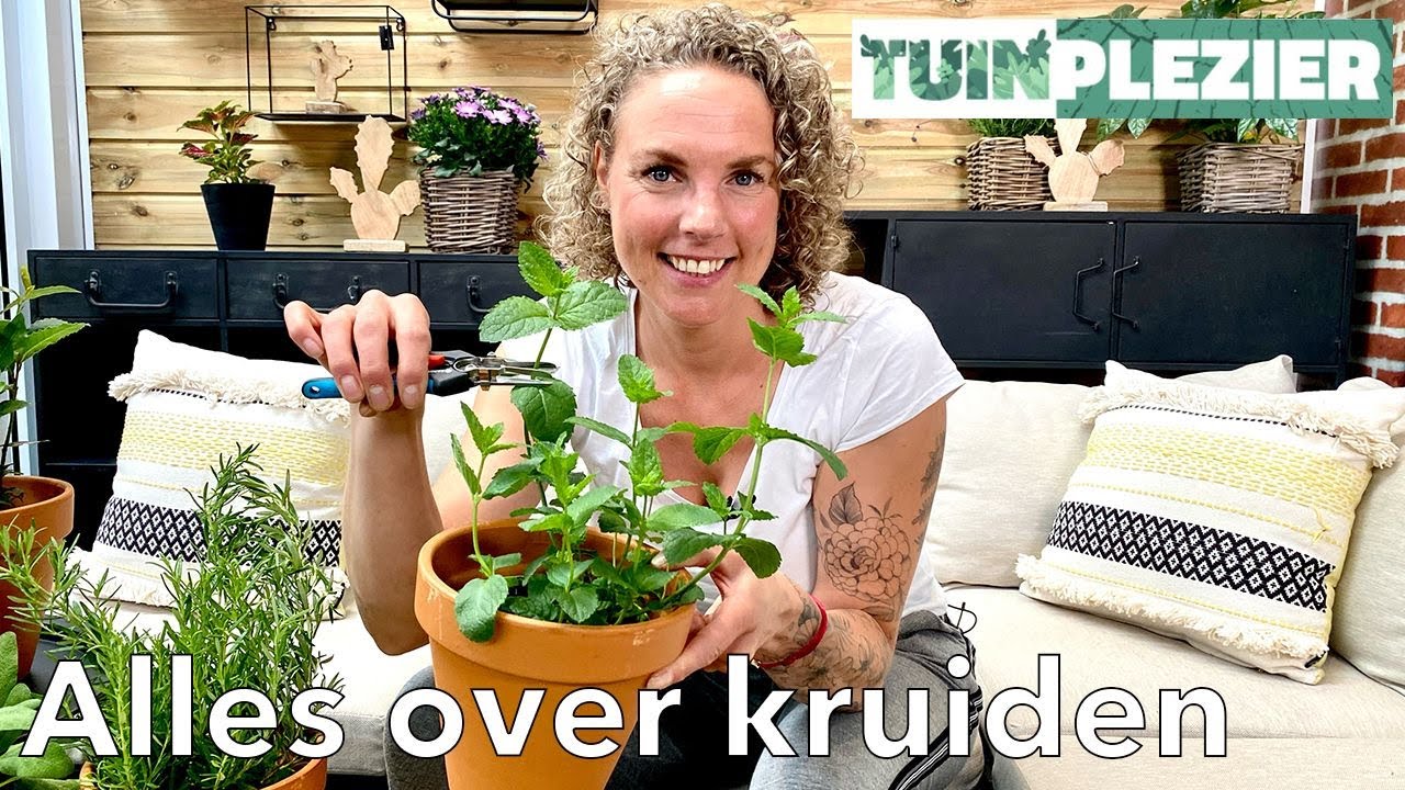 Alles over kruiden | Tuinplezier
