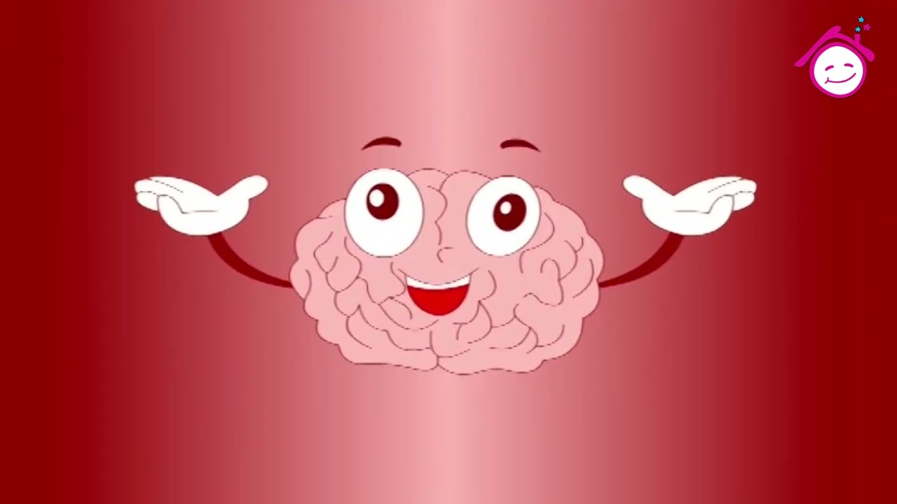 The Brain Song - Al Demagh Song | أغنية الدماغ - قناة دار القمر - قناة الطفل العربي