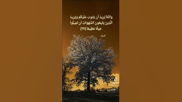 تلاوة باكية للشيخ عادل ريان #quran