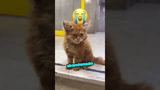El Pez Dragón Azul Dio Una Sorpresa Inesperada 🥺 #viral #fotnite #shortvideo #forinite