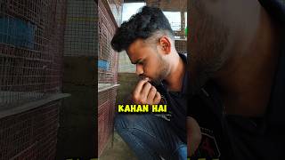 🧐Kya🐦Bachche Hua Hai #birds #birdlovers #shorts #shortsfeed