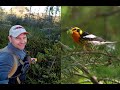 Across Wisconsin! Bird Surveys in 2019