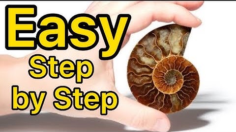How to Polish Fossils & Rocks for Beginners with Wet and Dry Sandpaper .. ep 9
