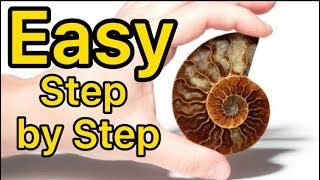 How to Polish Fossils & Rocks for Beginners with Wet and Dry Sandpaper .. ep 9