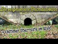 DIE VERGESSENE REICHSAUTOBAHN A7 BEI HANNOVER | LOST PLACE | INKL. OLDTIMER ÜBERRESTE IM WALD