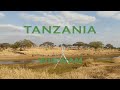 Tanzania Big Five Reise 2019