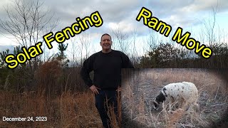 Moving Charlemagne to a New Area with Premier1 Fencing and a Solar Fence Charger by Nature's Cadence Farm 45 views 4 months ago 8 minutes, 47 seconds