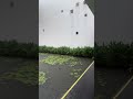 Monsoon special #monsoon #motivation #fun #travel #vibes #love #inspiration #rain #monsoonupdate