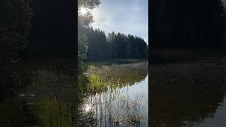 Рыбалка как короткометражное кино🎣🙋‍♂️