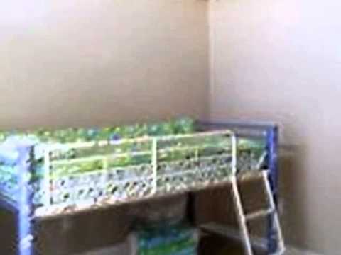 628 Country Club Ter, Trumann, AR home video tour