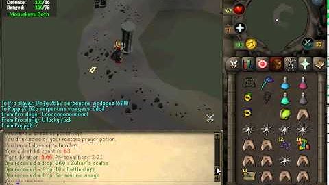 B2B Serpentine visages