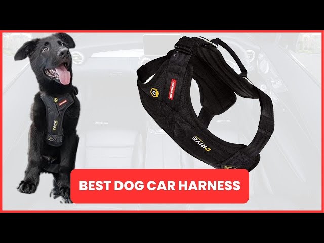  EzyDog Drive Safety Travel Dog Car Harness - Crash