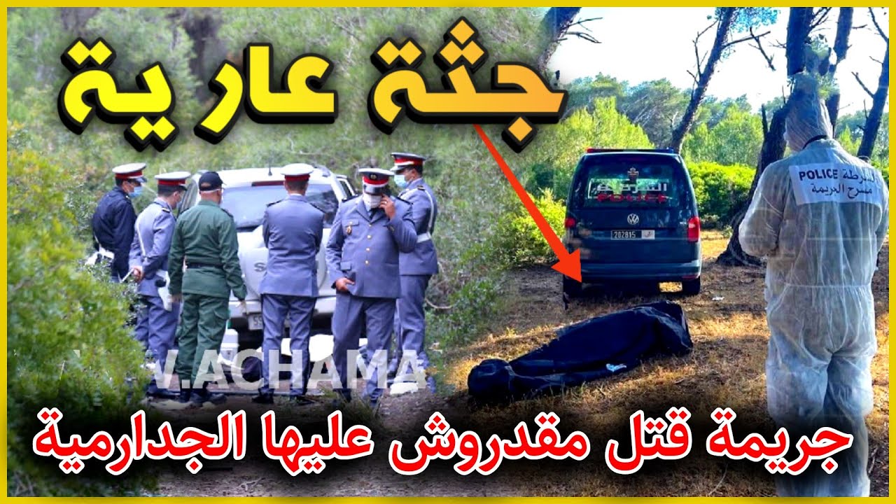 الحلقة 217 | جـ ثة عارية في الغابة  ... جريـ ـمة قتـ ـل مقدروش عليها الجدارمية.