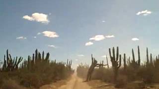 VID00017.AVI