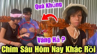 Tới Công chuyện Vợ Chồng Chim Sâu Rất Vui Mừng Khi Nhận Được Quà Khủng