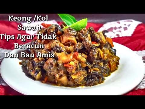 Cara Memasak Keong/Kol Sawah Agar Enak Pedas Manis