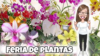 FESTIVAL de plantas y flores | primera parte #plantas #nature #festival #flores #orquideas #navidad