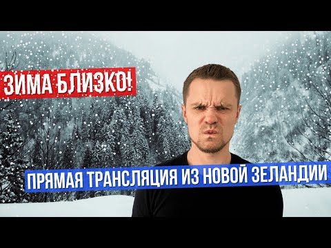 Видео: 15 бесплатных подарков вы из Новой Зеландии