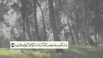 سورة النحل الآيه 53