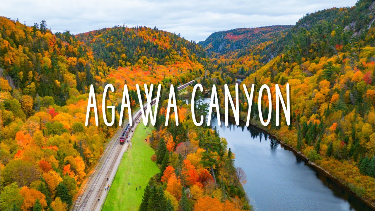 agawa canyon fall tour
