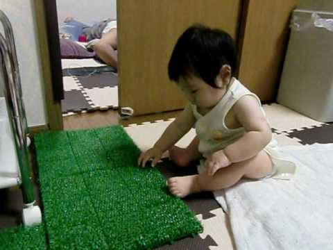 赤ちゃんよけの人工芝1 Youtube 赤ちゃんよけの人工芝1 Youtube