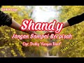 Shandy - Jangan Sampai Berpisah (Video Lirik) #Shandy #JanganSampaiBerpisah #dodhykangen