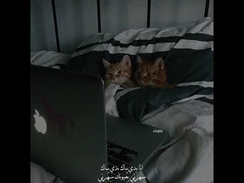 مابدي ولا بوسة ع خدي زياد برجي ستوريات حب