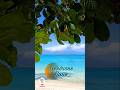 Welcome June #new #status #nature #summer #june #month #ocean #peace #shorts #viral #video #trending
