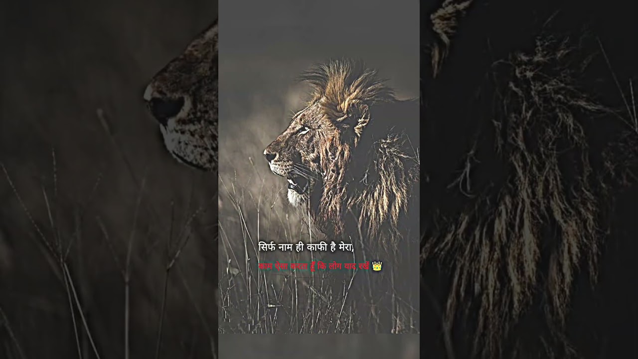 || motivation line || 