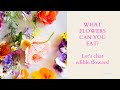 WHAT FLOWERS CAN YOU EAT? | Let's Chat About Edible Flowers!