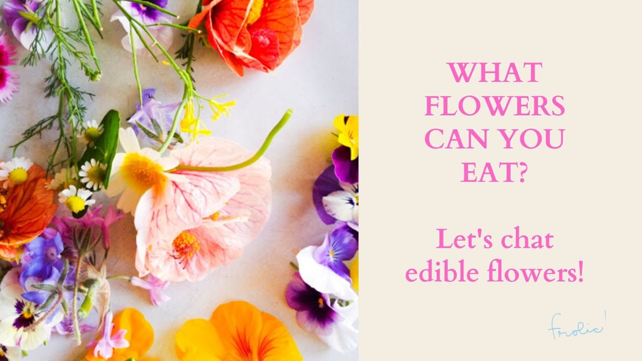 Using and Growing Edible Flowers for Floral Design