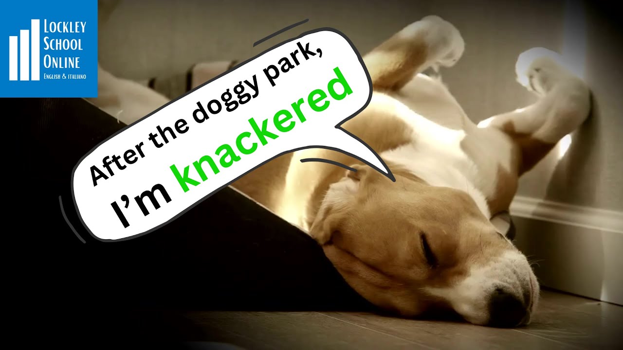 Learn some nextlevel adjectives with these short videos. 2 Knackered (UK Slang) YouTube