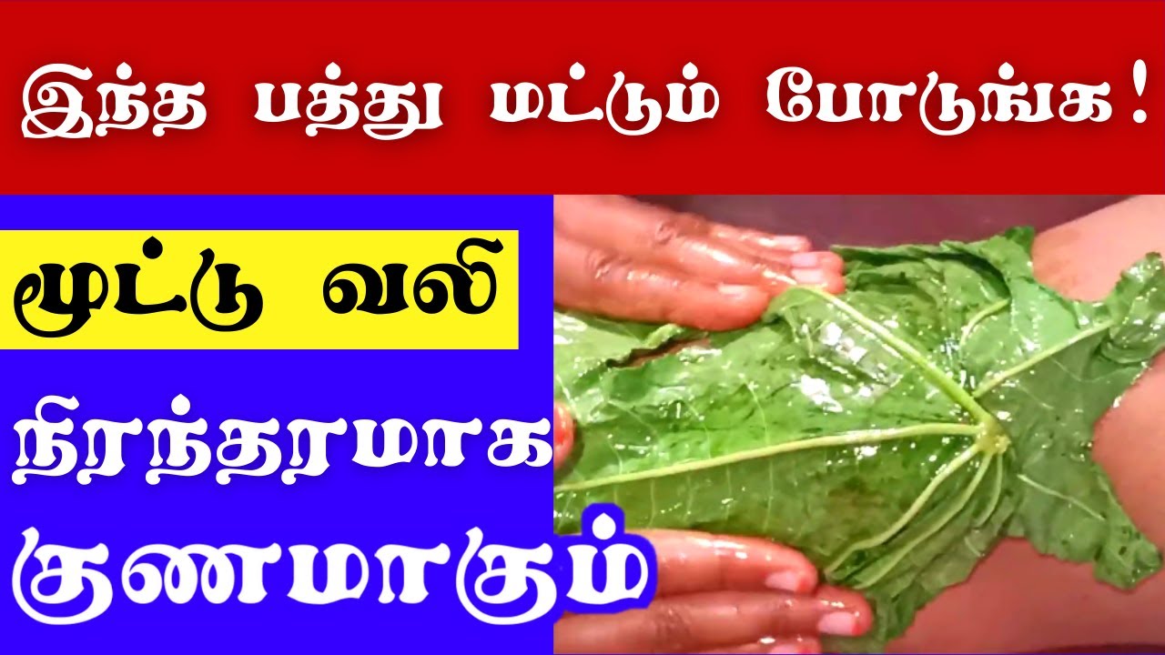 மூட்டு வலிக்கு நிரந்தர தீர்வு cure knee pain at home knee pain home remedies in Tamil YouTube
