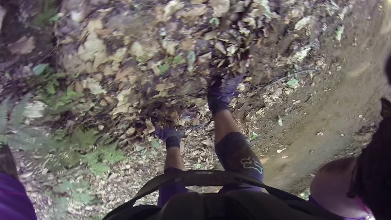 Mont Saint-Sauveur Stolen gold MSS