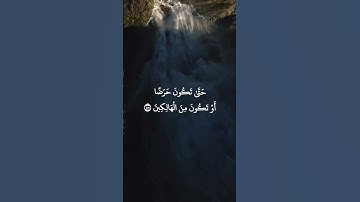 تلاوة خاشعة سورة يوسف بصوت المبدع الجزائري عبد العزيز سحيم #قران_كريم #عبدالعزيزسحيم #سورة_يوسف