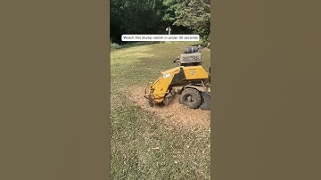 A Quick Stump Grinding Timelapse #stumpgrinding