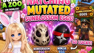 Hatching Mutated Sunblossom Eggs in Build a Zoo ( Bonegragon & Ninja Egg)  screenshot 1