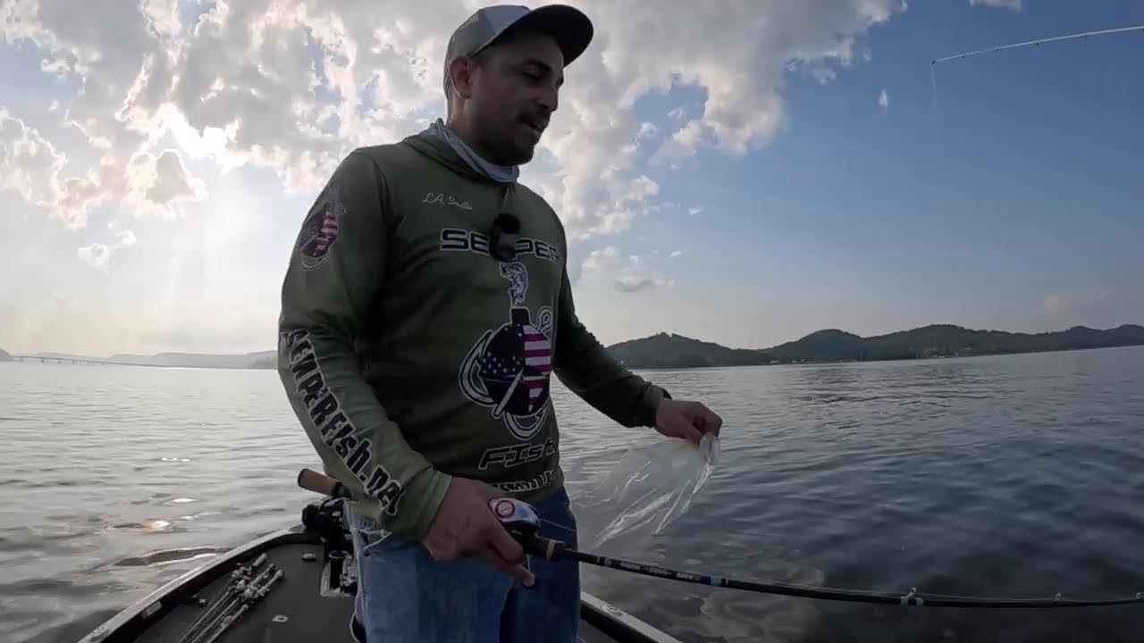 Live bass fishing