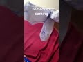 sneak peak