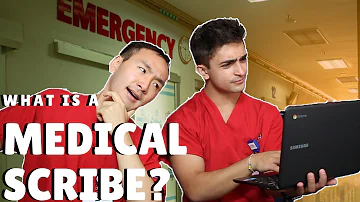 Do doctors use scribes?